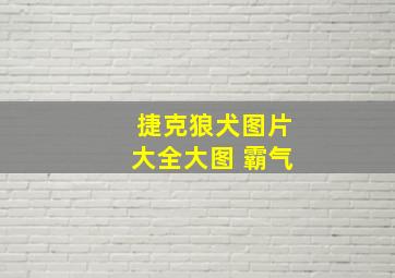 捷克狼犬图片大全大图 霸气